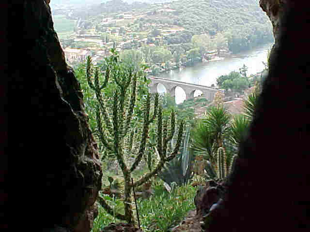 l'ORB (vue du jardin mditerranen)